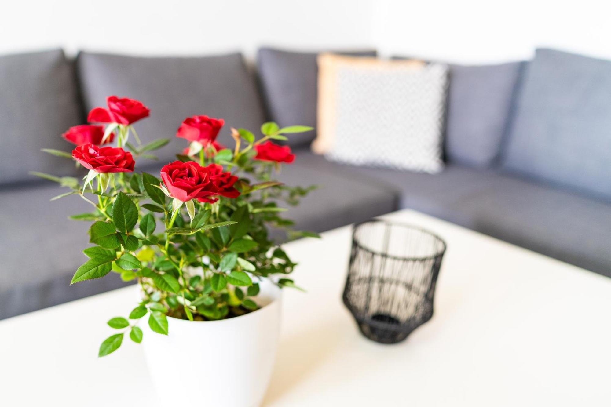 Sweet Rooms Bubesheim Buitenkant foto